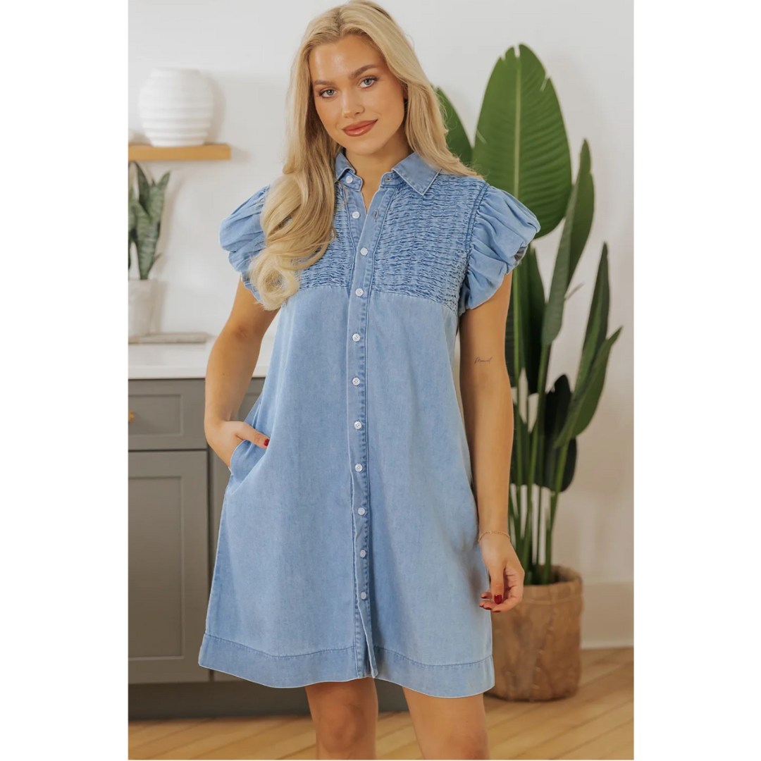 Take Your Chance, Short Sleeve Denim Dress