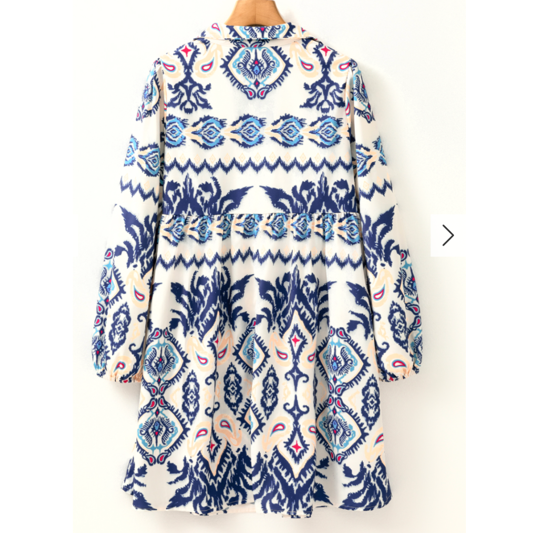 Mediterranean Muse Long Sleeve Printed Swing Dress