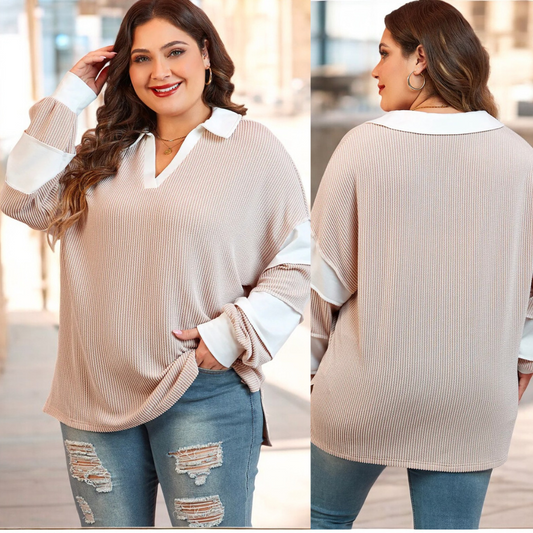 Bring On The Cool Weather, Long Sleeve V Neck Colorblock Top (1X-4X)