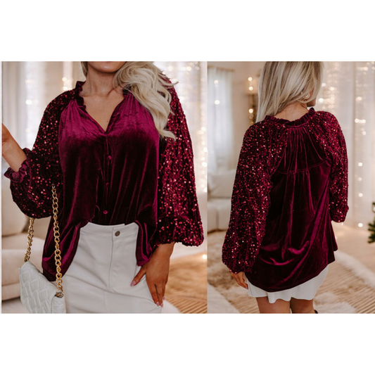 Don't Think Twice, Sequin Long Sleeve V Neck Top